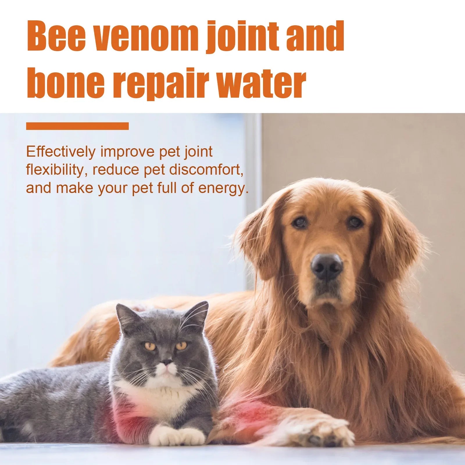 Pet Joint Care Drops, Bone Deformities Healing, Relieves Discomfort, Joint Repair Supplement, Anti-Itching Dog Joint Care Solution