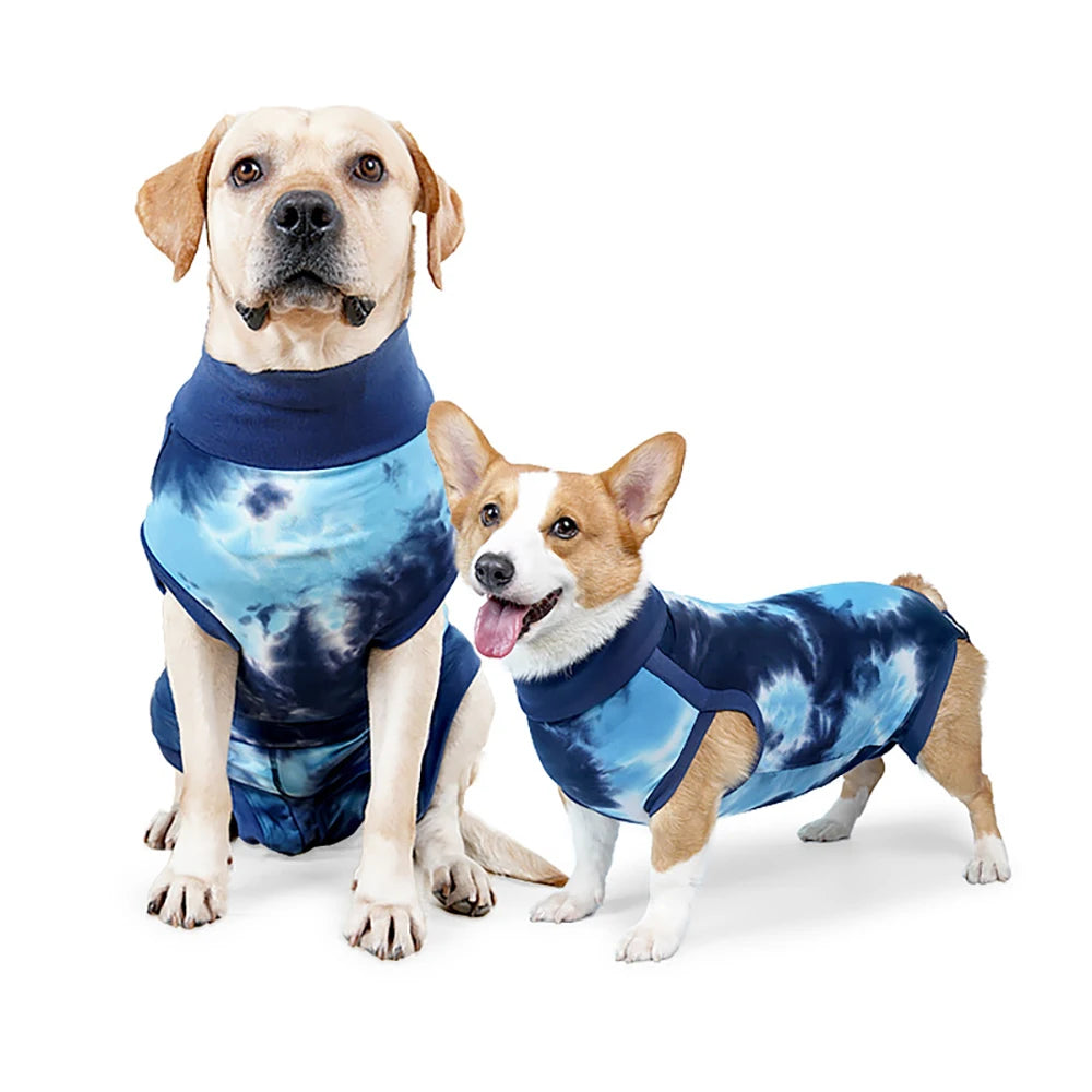 Post-operative suit for dogs – wound protection after surgery