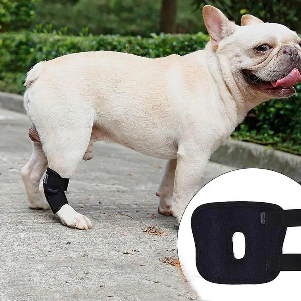 Protective Case Joint Recovery Bandage for Small, Medium, Large Dogs Dog Leg Brace Dog Leg Wrap Dog Support Brace Pet Knee Pads