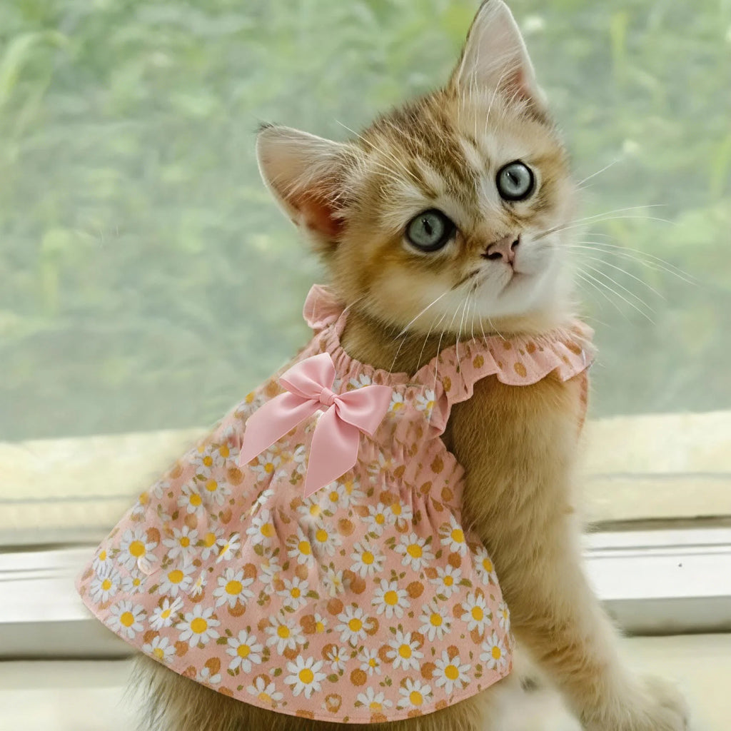 Dress for Cats and Small Dogs – Summer Dress with Pink Floral Print