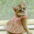 Dress for Cats and Small Dogs – Summer Dress with Pink Floral Print
