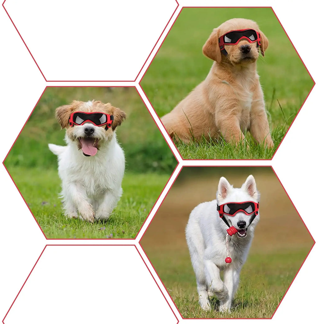 Protective Goggles for Dogs, Cat Sunglasses, Outdoor UV Protection Sunglasses for Small and Medium Dogs, Puppy Glasses, Pet Accessories