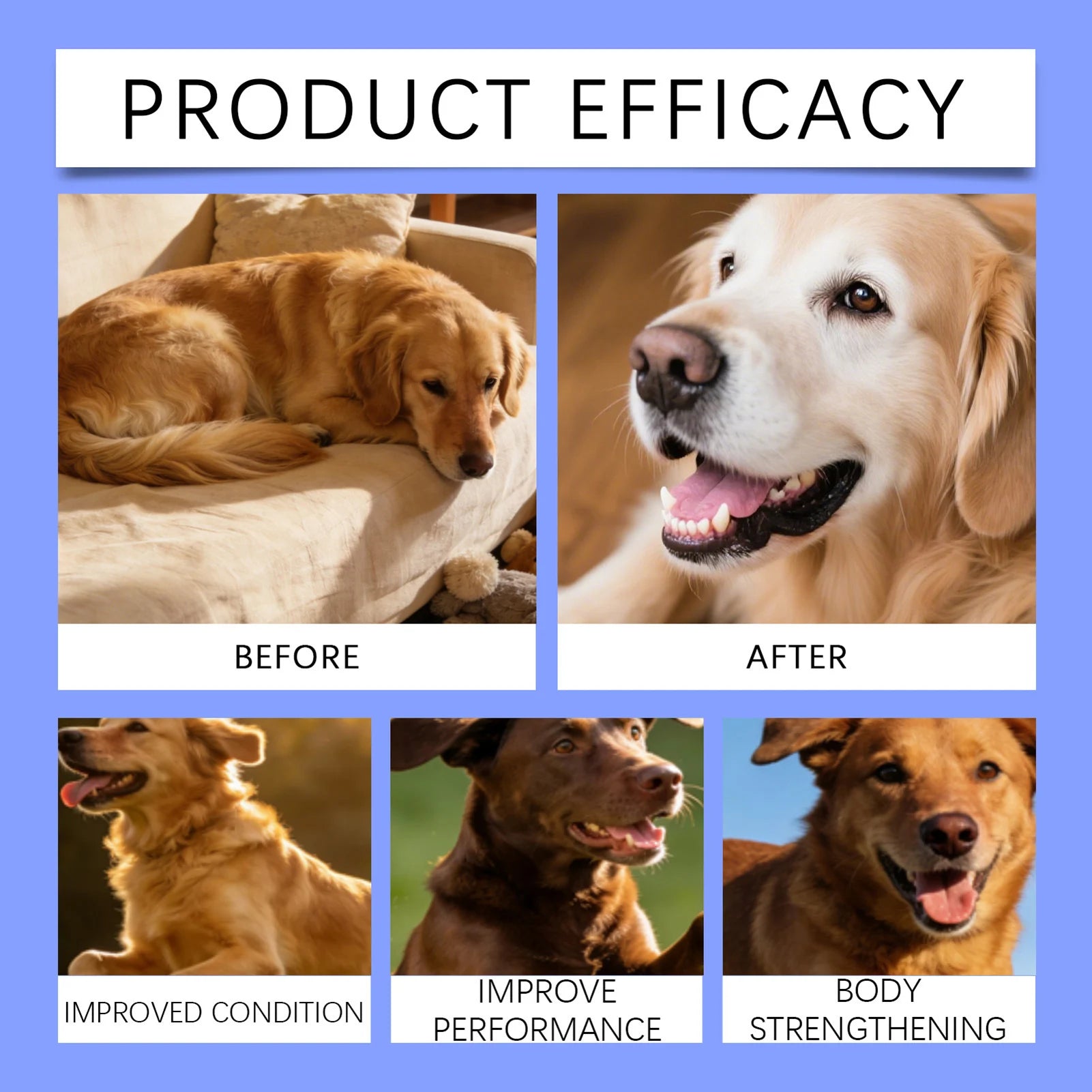 100g Pet Immune Supplement Powder with Reishi Beta-Glucan Probiotics For Adult Dogs Daily Health Care With Natural Ingredients