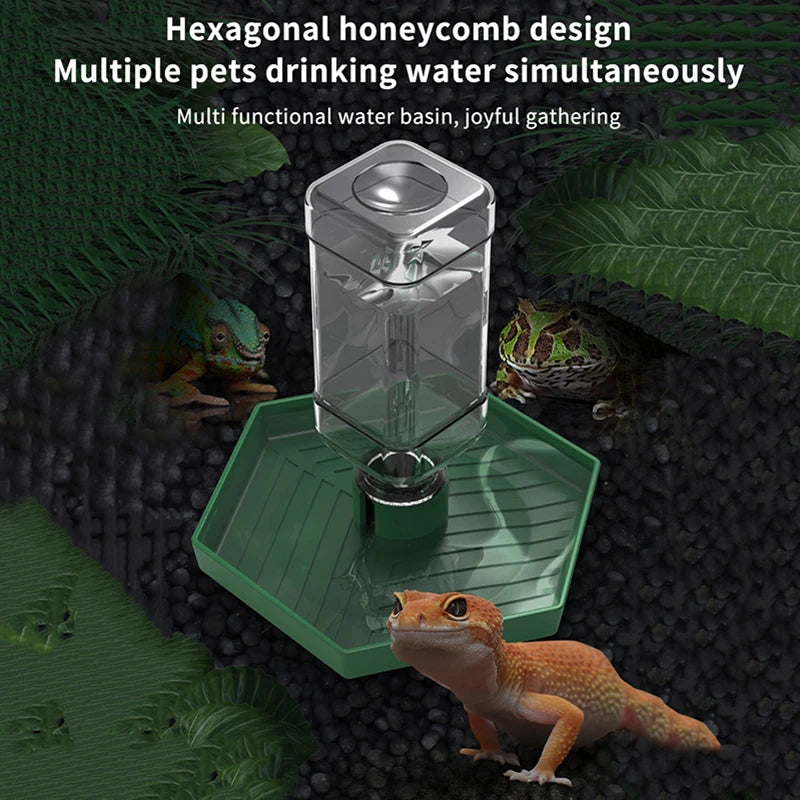 Reptiles Water Feeder Bowl Food Feeder Bottle For Reptiles Pet Anti-slip Automatic Dispenser For Lizards