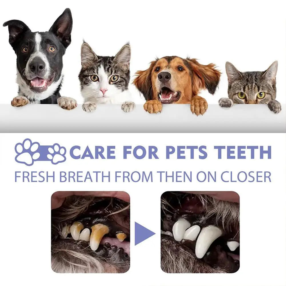 Pet Spray Dog Oral Care 30ml, Pet Freshener, Deodorant for Bad Breath, Teeth Cleaning, Plaque Care Remover, Breath Pet Care