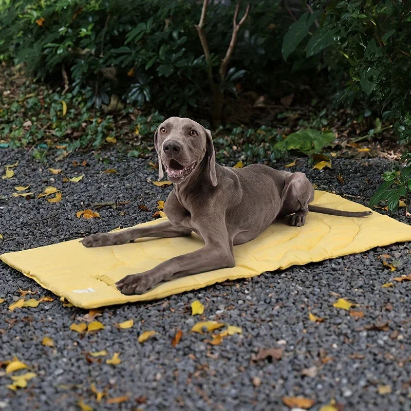 Waterproof Pet Dog Diaper Mat Training Pad Foldable Urine Absorbent Environment Protect Diaper Mat Outdoor Dog Car Seat Covers