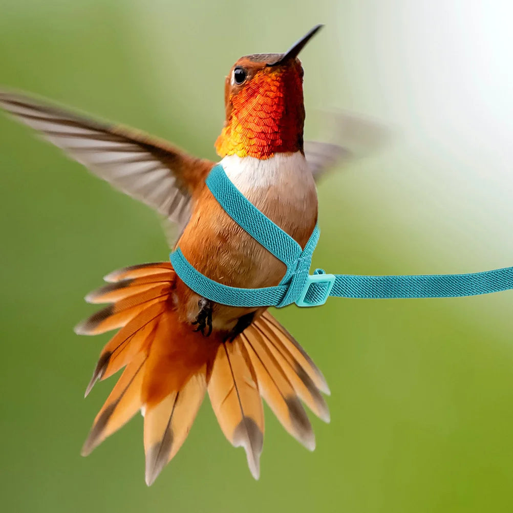 Ultralight Parrot Flight Training Harness – Adjustable, Durable, for Indoor and Outdoor Use