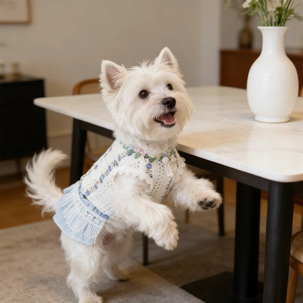 Pet Embroidered Dress Small & Medium Dog Teddy Hollowed-out Vest Puppy Clothes Summer Cat Tassel Dress Spring Pet Clothing