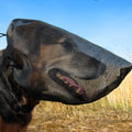 Dog Face Mask, Protect Eyes Ears Nose from Grass Seeds & Burrs