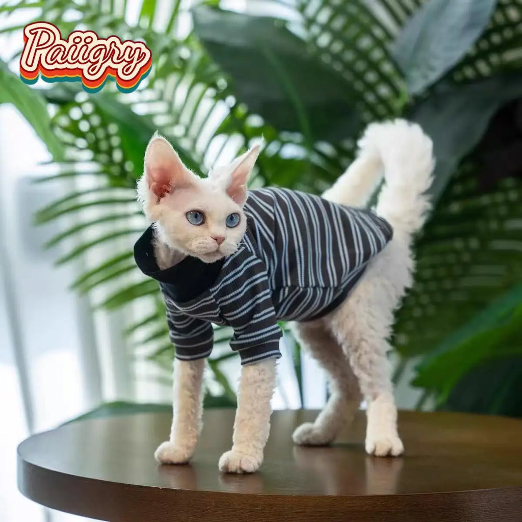 Cat Turtleneck – Summer Wear, XS–XXL