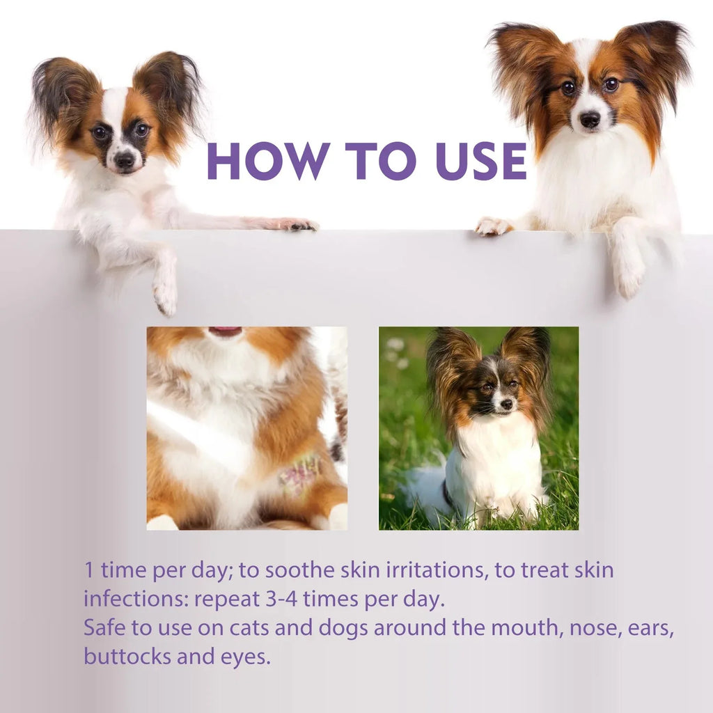 Cat and Dog Hair Dry Cleaning Spray, Skin Care Spray, Pet Flea and Mite Skin Treatment, Pet Wound Repair and Hair Regrowth Serum