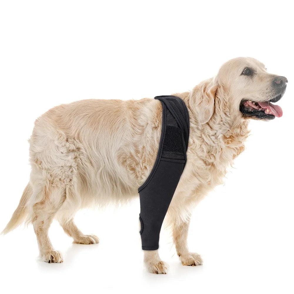OEM Dog Knee Support Wrap Post Surgery Recovery Sleeve Anti-Scratch Protective Bandage for Pets