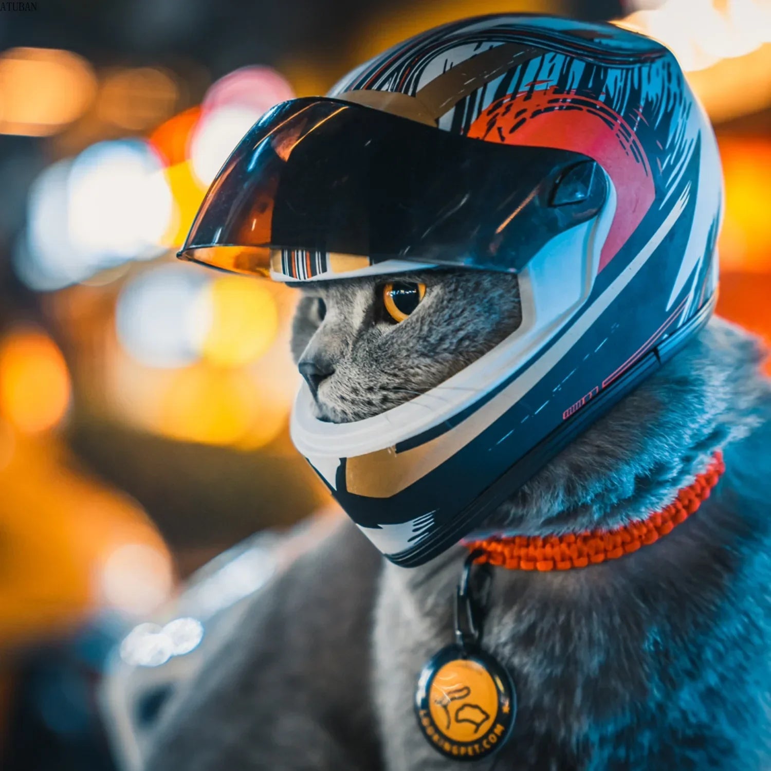 Pet Helmets, Cat Helmet, Dog Helmet - Outdoor Mini Head Protection Safe Hat, Pet Photo Props Accessory, Mini Motorcycle Helmet