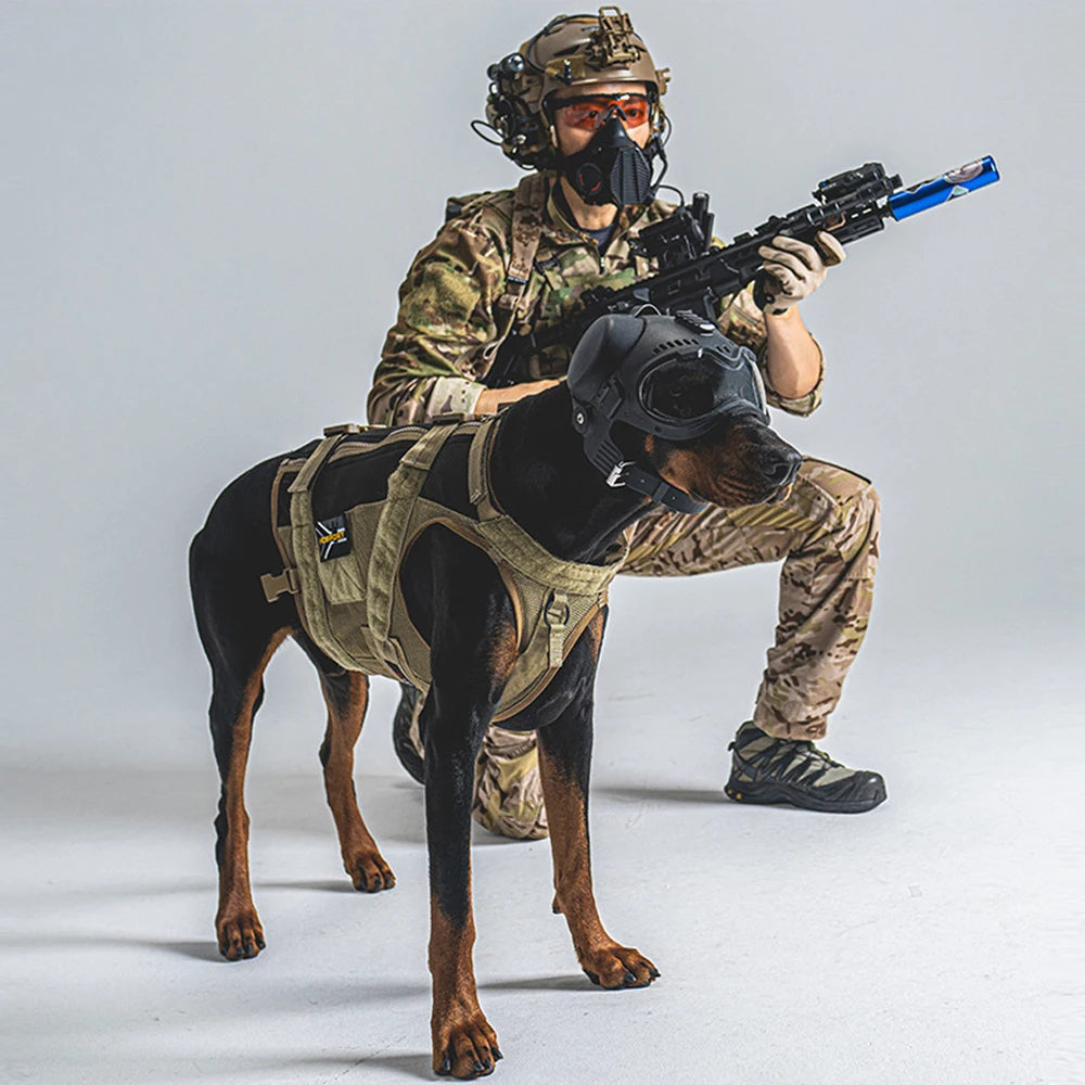 K9 taktički šlem za pse sa naočarima – Zaštitna oprema za velike pse