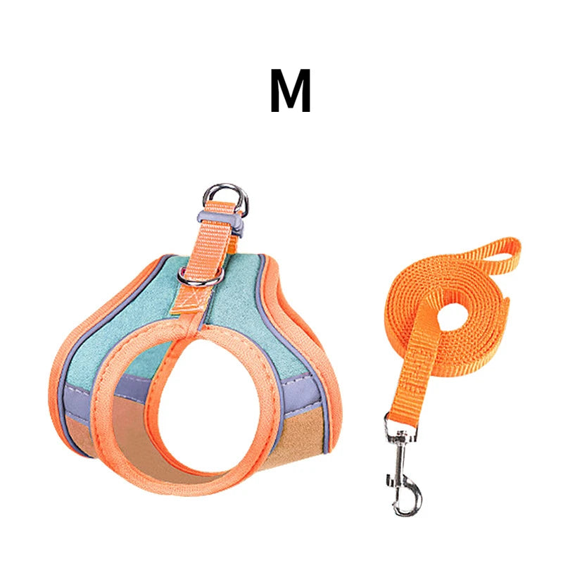 Rabbit Harness and Leash – Reflective Strips, Double Buckle, S/M/L