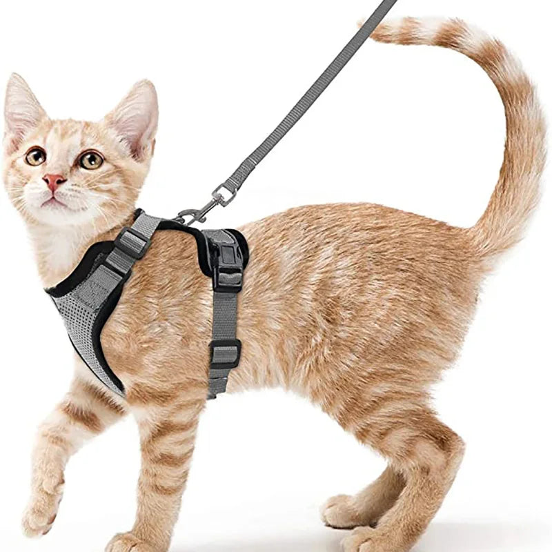 Cat Harness and Leash – soft, adjustable, escape-proof