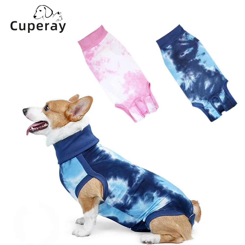 Post-operative suit for dogs – wound protection after surgery