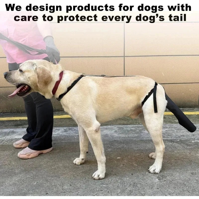 Dog Tail Safety Guard Comfortable Breathable Protector Sleeve Universal Size for Daily Protection and Healing Pet Supplies
