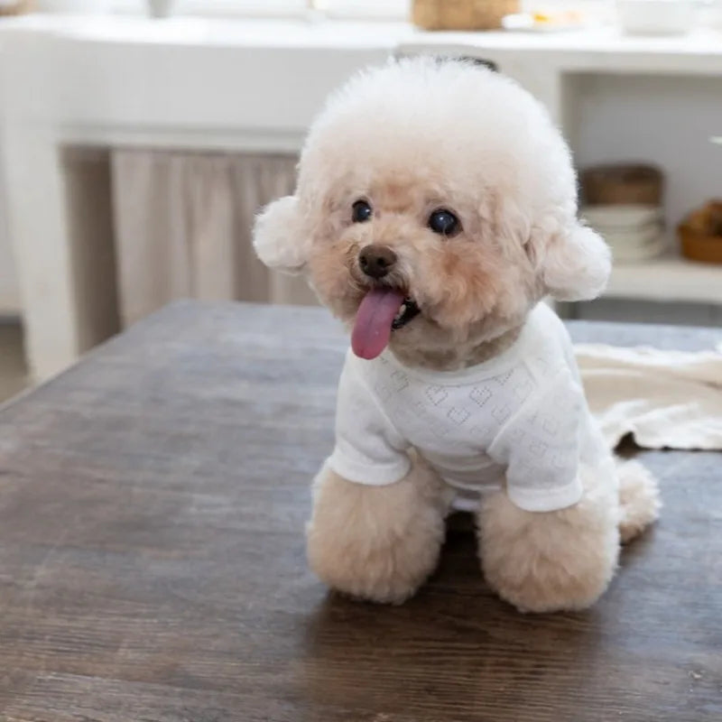 Spring knitted romper for small dogs – breathable, XS–XXXL