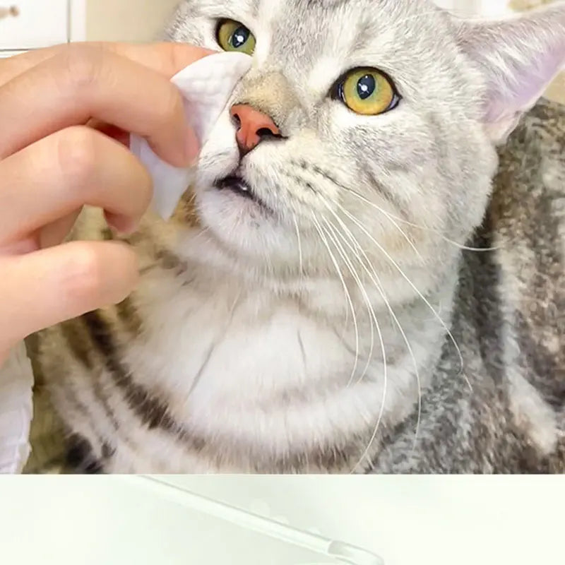 Pet Ear Cleaning Wipes Pet Eye Wipes Cats and Dogs Tearmark Wet Wipes Cats and Dogs Universal No Irritation Cleaning Products