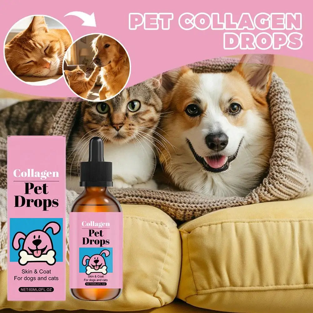 Multi-Care Pet Collagen Oral Drops for Dogs and Cats, Hair, Skin, and Joint Health Daily Nutritional Supplement, Pet Grooming Supply