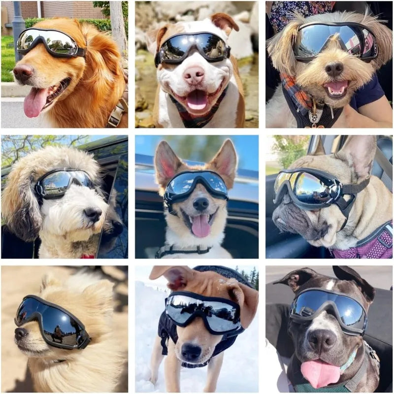 Dog UV Protective Goggles, Suitable for Medium to Large Dogs, Dust, Wind, and Snow Resistant for Outdoor Eyes