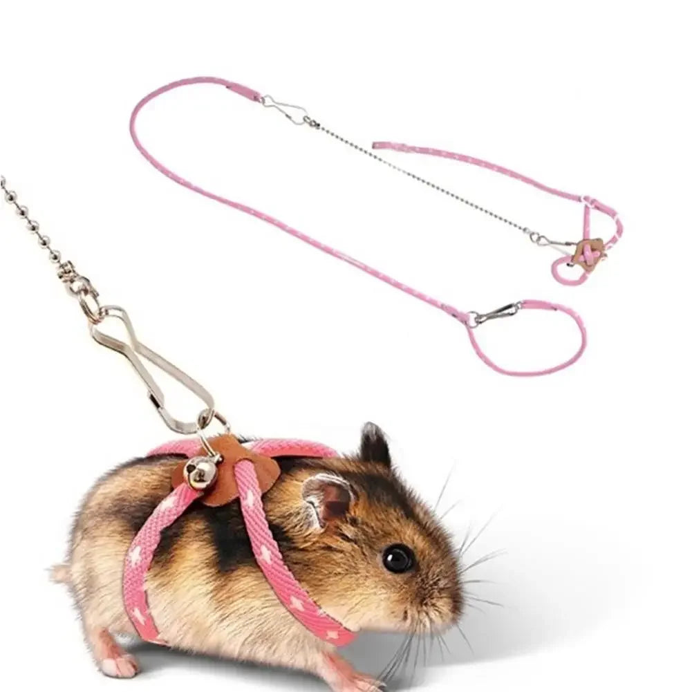 Adjustable Harness with Leash for Small Pets – Birds, Hamsters, Guinea Pigs, Rats
