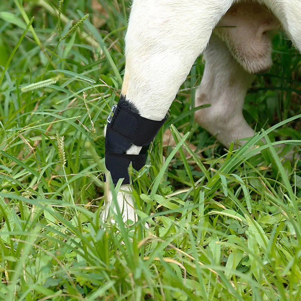Protective Case Joint Recovery Bandage for Small, Medium, Large Dogs Dog Leg Brace Dog Leg Wrap Dog Support Brace Pet Knee Pads