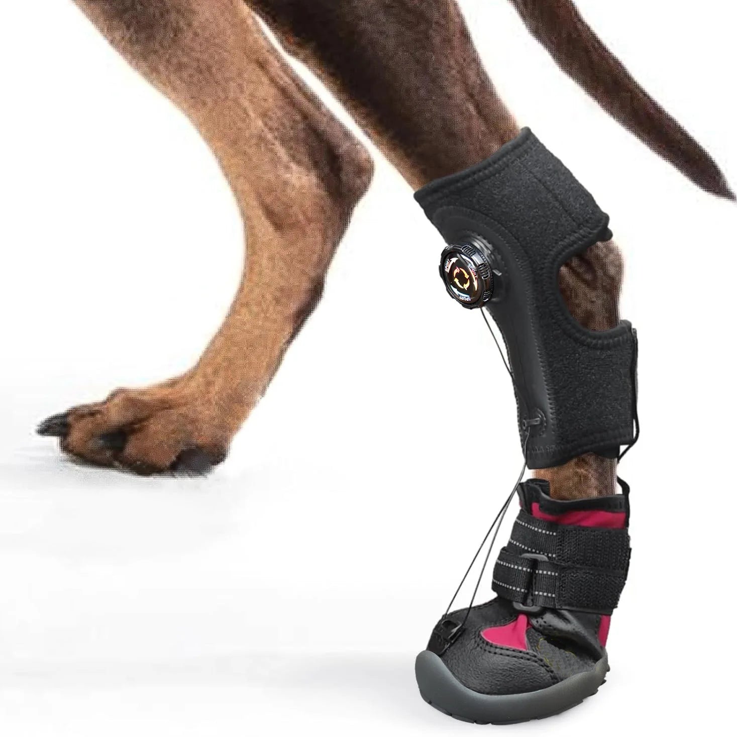 Dog Shoes Dirt-Proof Anti-Drop Wear-Resistant Hard Sole Breathable Foot Protection Puppy Boots Injured Dog Joint Fixation