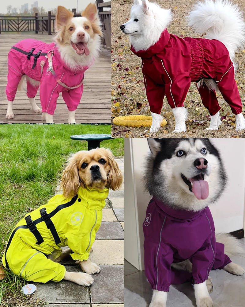 Rain jacket for dogs - waterproof, with hood, reflective
