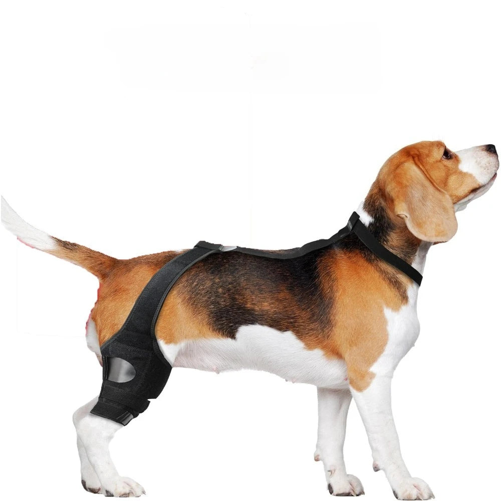 Dog Knee Brace Supports,Better Leg ACL Recovery for dogs,Breathable Pet Braces After Injury Surgery