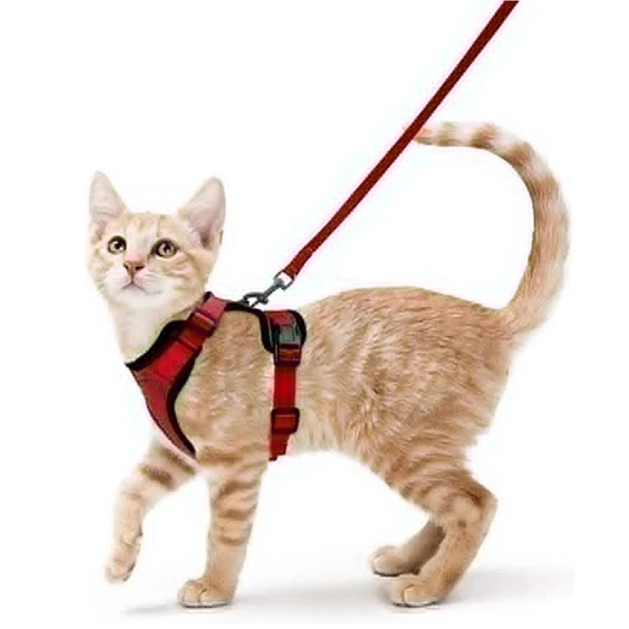 Cat Harness and Leash – soft, adjustable, escape-proof