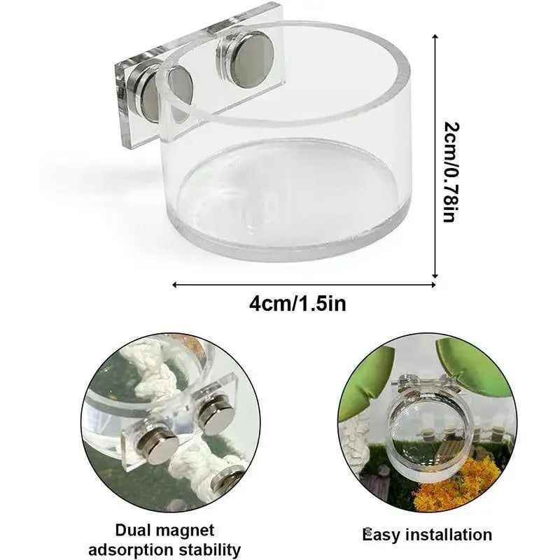 Reptile Insect Feeding Dish Set Mini Magnetic Food Water Bowl With Feeding Clip For Spider Mantis Cricket Enclosure Accessories
