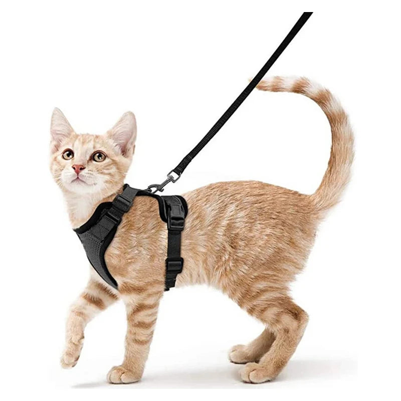 Cat Harness and Leash – soft, adjustable, escape-proof