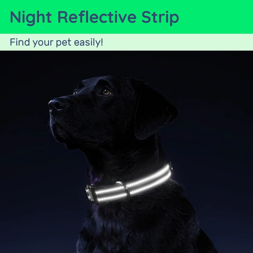 Waterproof Air Tag Dog Collar with AirTag Holder & QR Code, Reflective Soft Padded & Safety Buckle, AirTag Pet Collar for Dogs