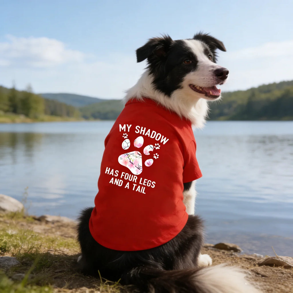 Printed Shirt for Small and Medium Dogs – Hoodie for All Seasons