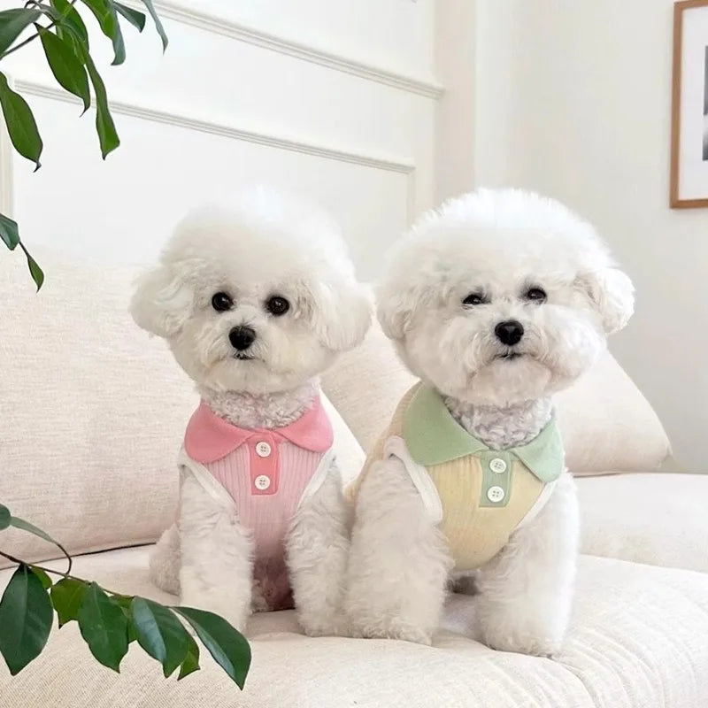 Puppy Summer Clothes for Small Dog Pet Dog Polo Shirt Cat Dog Cooling Vest Chihuahua Yorkshire Bichon Clothing Girls Dog T-Shirt