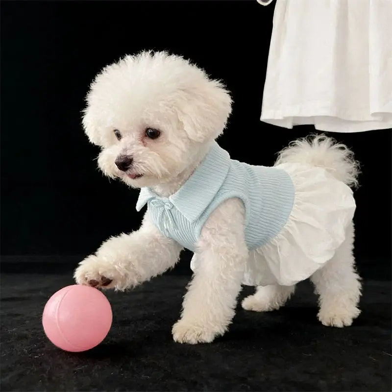 Polo Shirt Bow Dress Pet Dog Clothes Suspender Skirt Clothing Dogs Super Small Cute Chihuahua Print Summer Blue Girl Mascotas