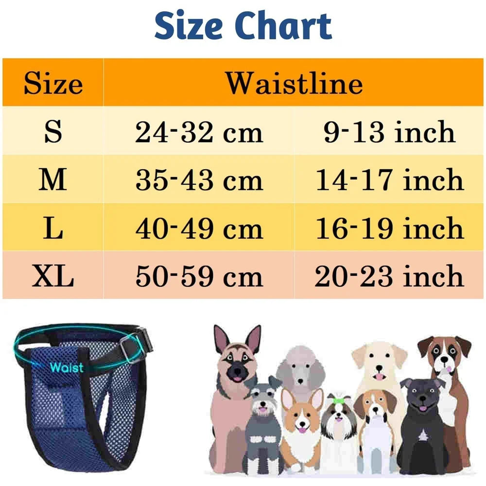 Reusable Washable Dog Diapers Female Heat Period Pants Dog Leak Proof Hygiene Kecks Panties with 3 Pads for Small Large Dogs