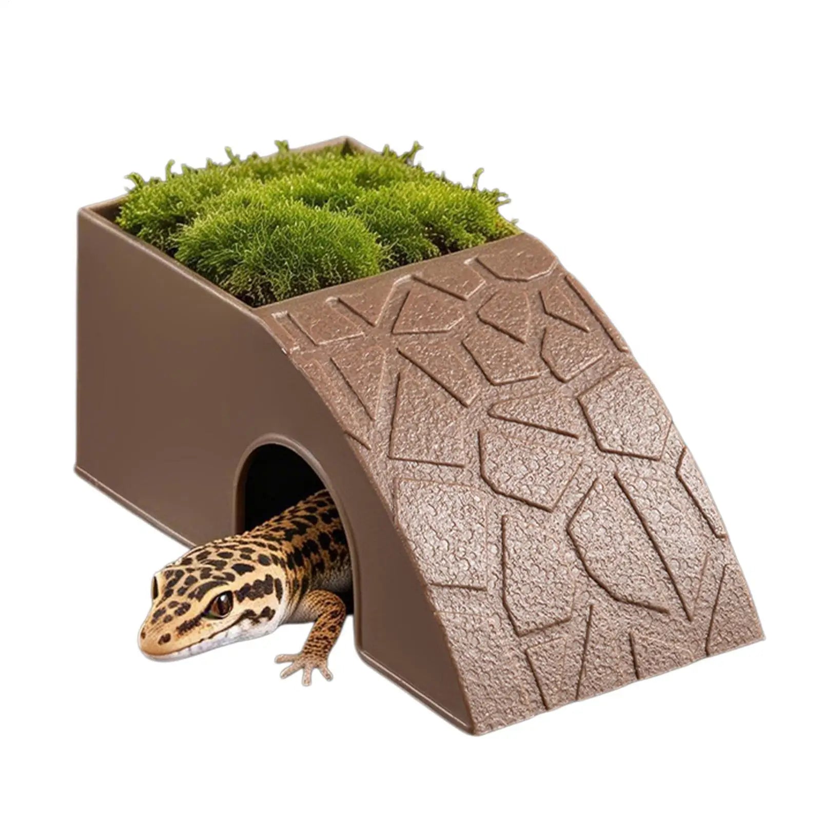 Reptile Feeding Dish 2-in-1 Food & Water Bowl with Shelter Non-Spill Resin Ornament for Bearded Dragon, Turtles Geckos Chameleon