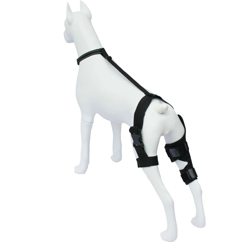 Dog Knee Brace Supports,Better Leg ACL Recovery for dogs,Breathable Pet Braces After Injury Surgery