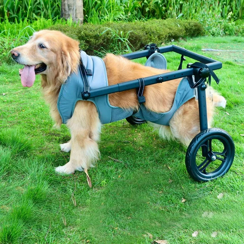 Invalidska kolica za pse