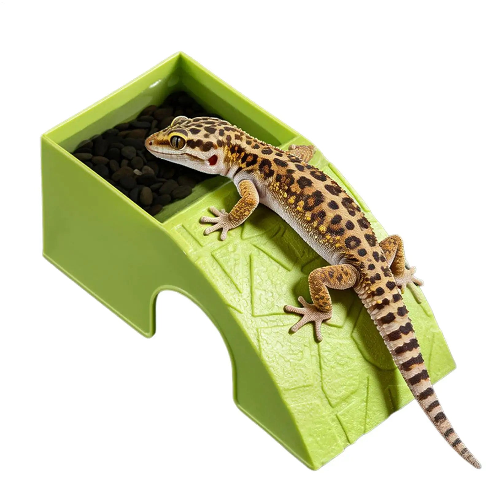 Reptili